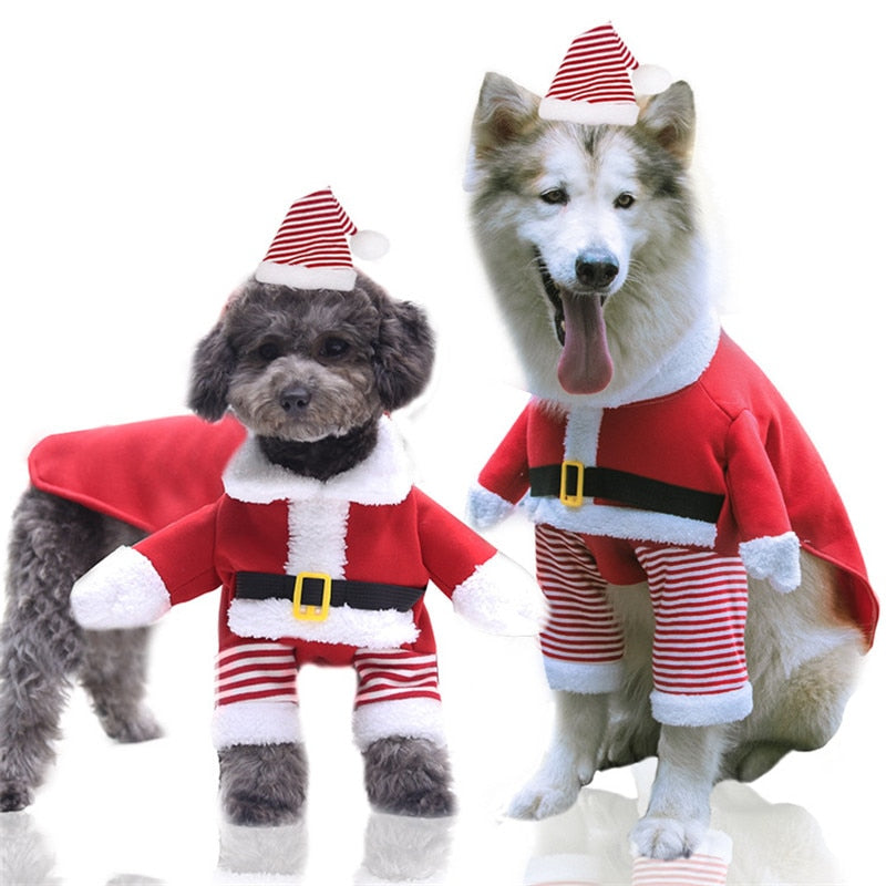 Christmas Costumes for Dogs & Cats - Halloween or Christmas Time