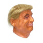 Trump Latex Full Head