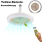 Dimmable Ceiling Fan Lamp With Remote