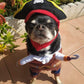 Dog & Cat Pirate Costume