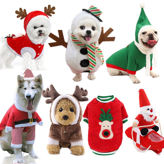 Christmas Costumes for Dogs & Cats - Halloween or Christmas Time