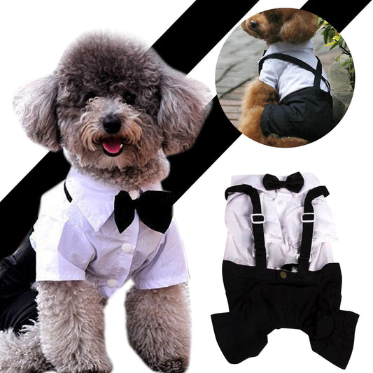 Dog Tie Wedding Suit Clothing
